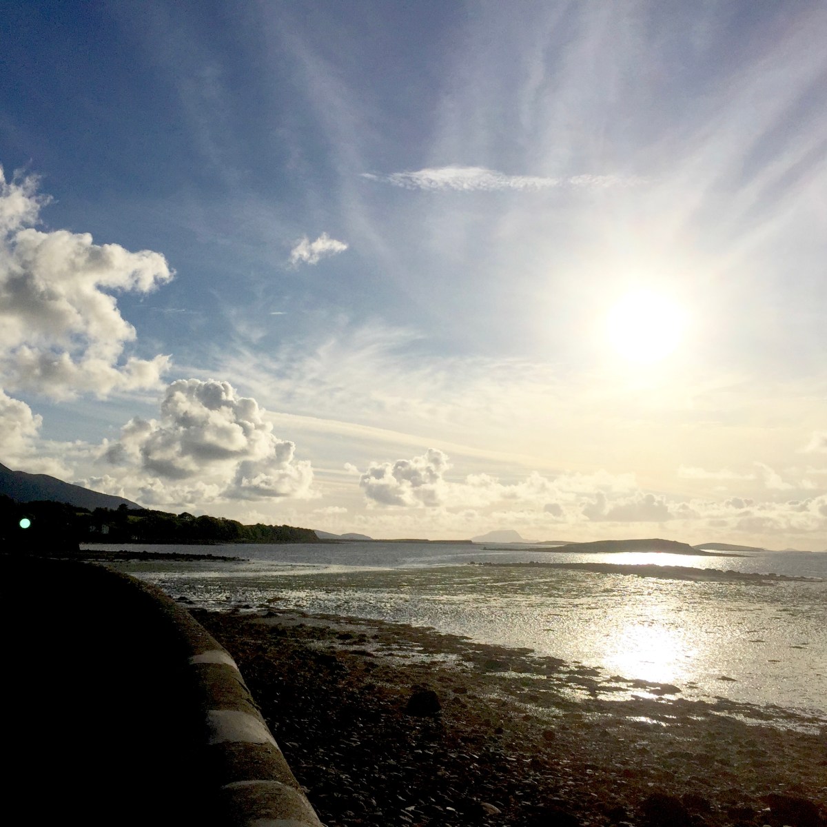 Arts: St. Patrick’s Landscape&nbsp;Legacy